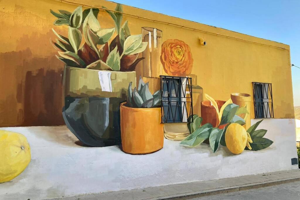 Casa Tipica De Pueblo Andaluz Villa Villanueva de San Juan Dış mekan fotoğraf