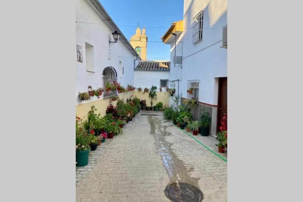 Casa Tipica De Pueblo Andaluz Villa Villanueva de San Juan Dış mekan fotoğraf