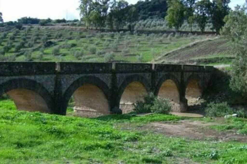 Casa Tipica De Pueblo Andaluz Villa Villanueva de San Juan Dış mekan fotoğraf