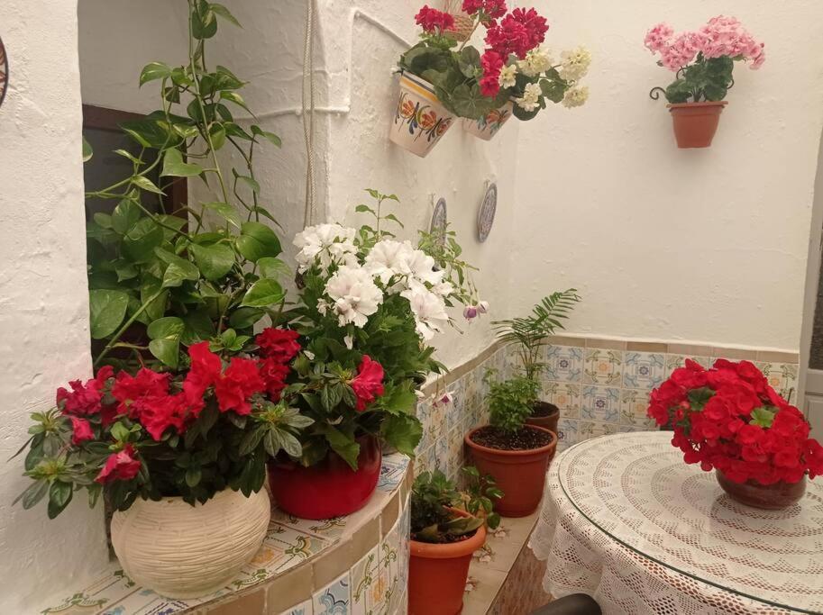 Casa Tipica De Pueblo Andaluz Villa Villanueva de San Juan Dış mekan fotoğraf