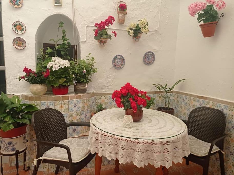 Casa Tipica De Pueblo Andaluz Villa Villanueva de San Juan Dış mekan fotoğraf