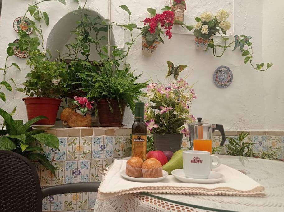 Casa Tipica De Pueblo Andaluz Villa Villanueva de San Juan Dış mekan fotoğraf